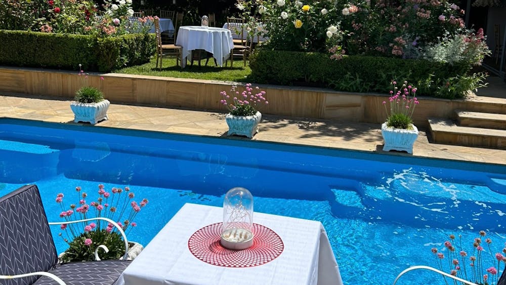 Swimming pool in the garden