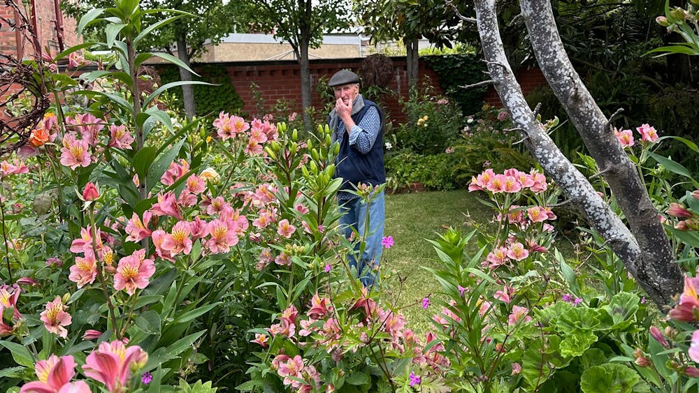 Flowering lillies and gardener