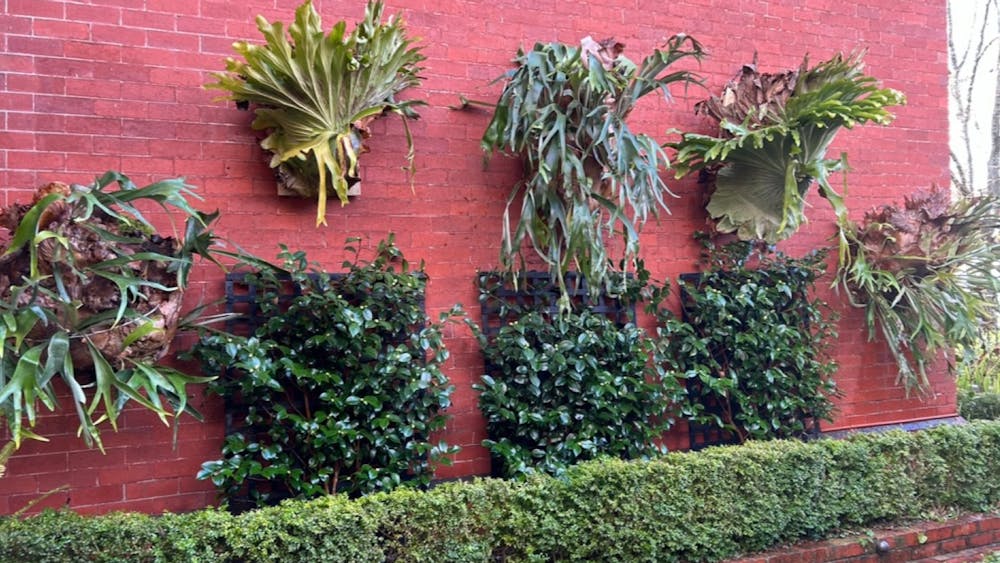 Elk and Stag Horns on brick wall
