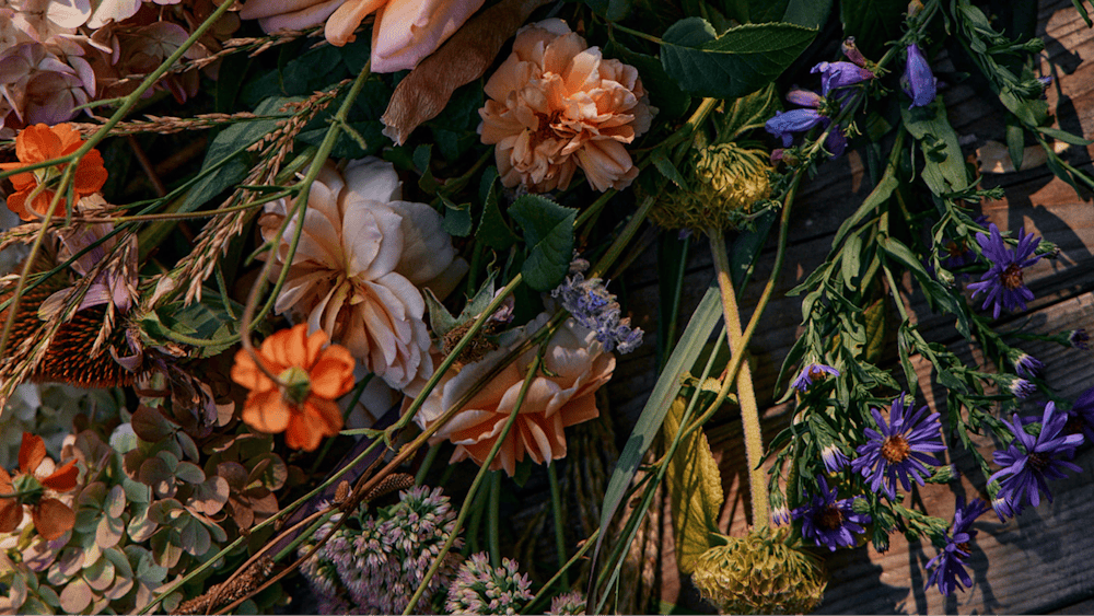 Gathered flowers from Natasha Morgans garden gathered on a bench