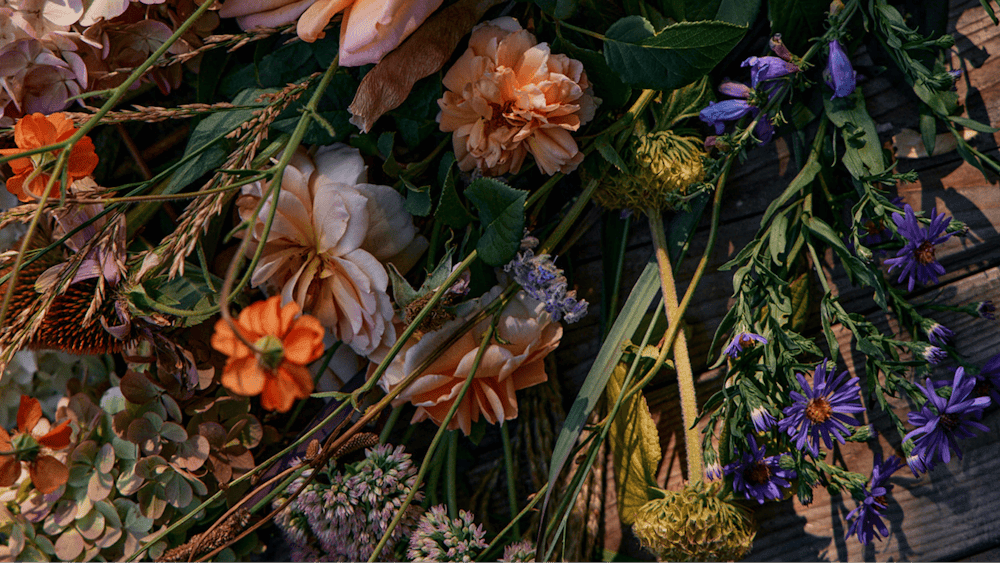 Gathered flowers from Natasha Morgans garden gathered on a bench