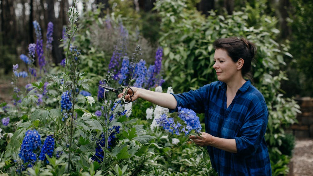 NATASHA MORGAN in the garden at Oak & Monkey Puzzle