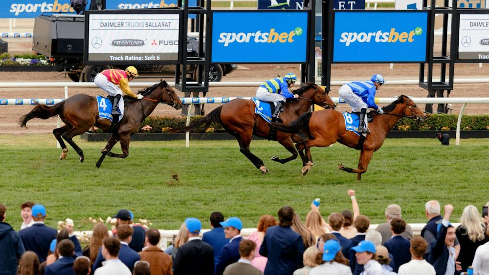 Crowd enjoying the horses going past the line