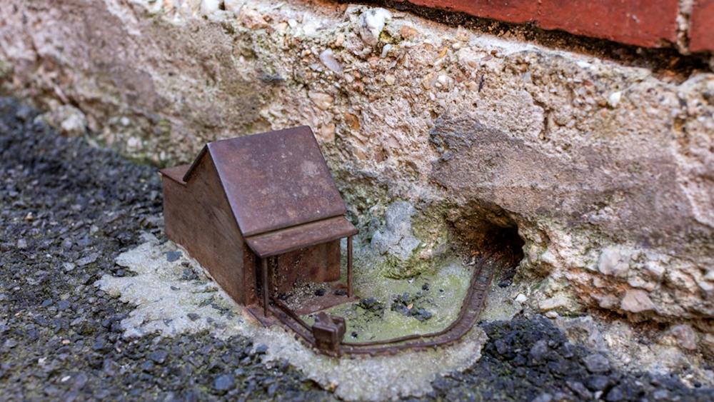 The Well Worn Path
