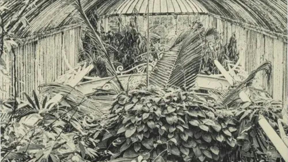 Black and white photogravure of a garden